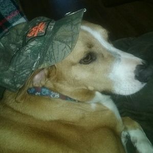 Meet your Posher, Leslie